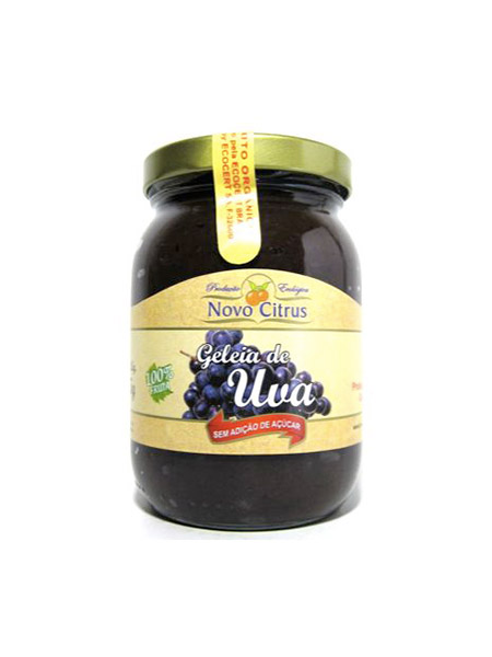 Geleia de Mirtilo (blueberry) sem açúcar Orgânica 270g - Carraro - Empório  Cazarini