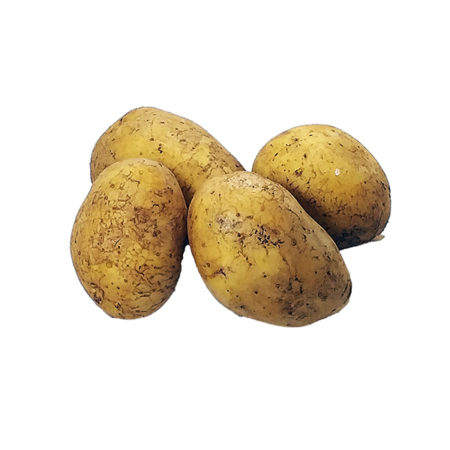 BATATA