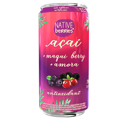 native-berries-produto-sucos-antioxidant-imagem
