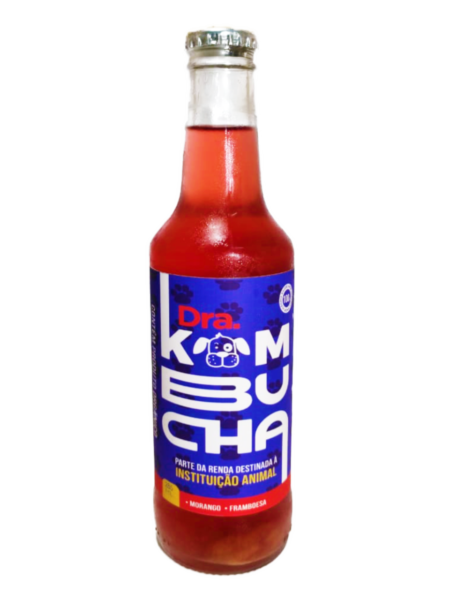 kombucha instituicao